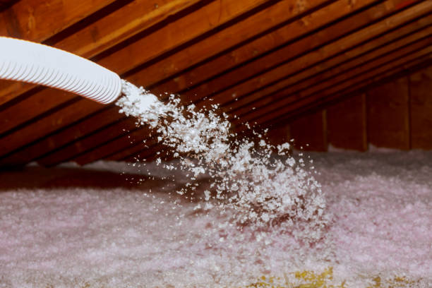 Best Energy Efficiency Insulation in Franklin Park, NJ