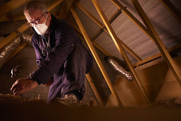 Best Commercial Insulation in Franklin Park, NJ